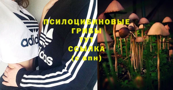 первитин Красноперекопск