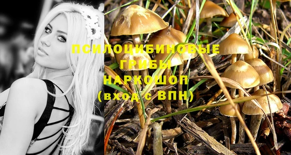 первитин Красноперекопск
